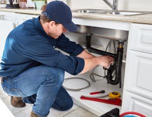 Painesville, OH Plumbing Services
